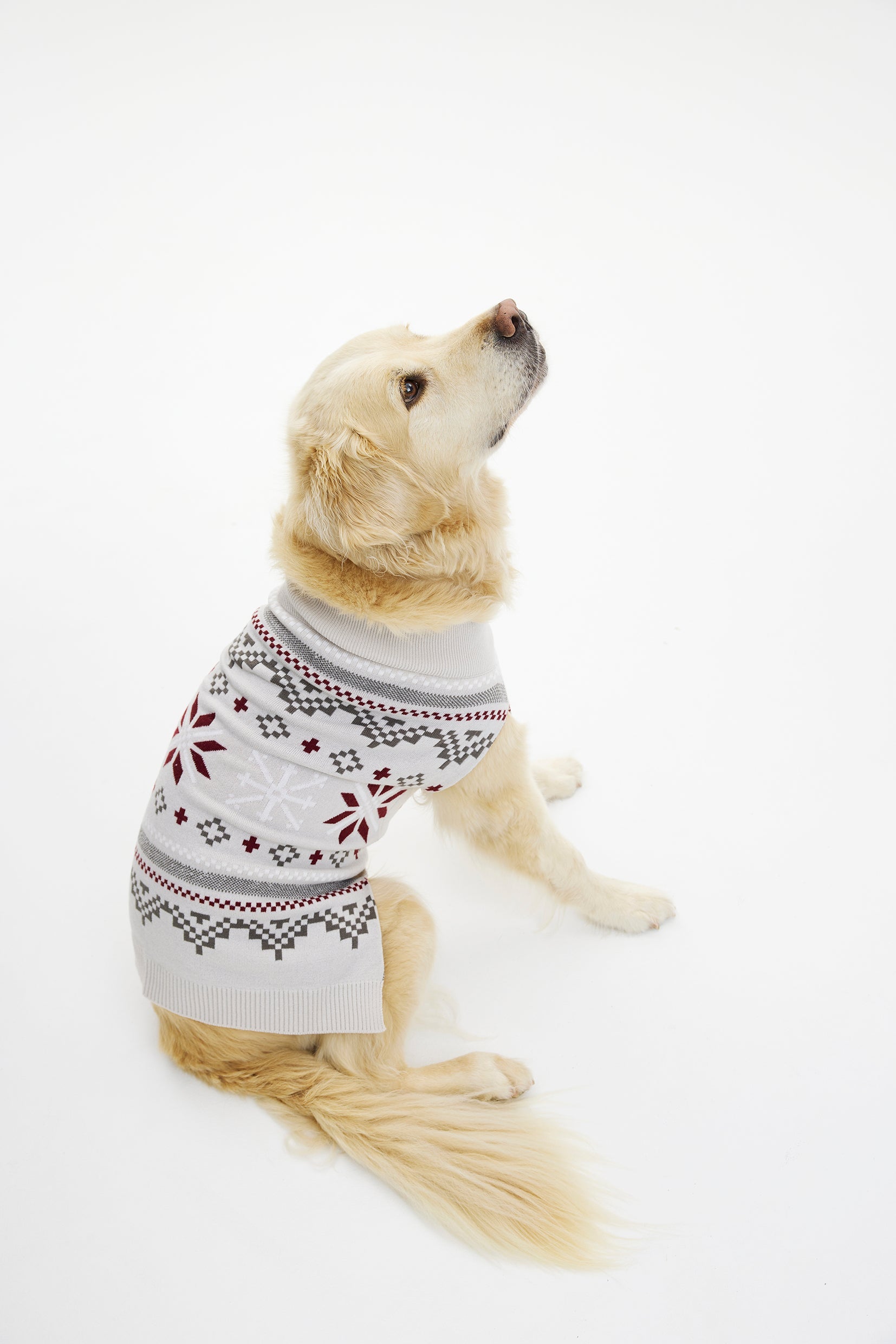 Fancy Hunde-Weihnachtspullover